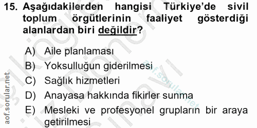15. soru: Aşağıdakilerden hangisi Türkiye'de sivil toplum örgütlerinin faaliyet gösterdiği alanlardan biri değildir? A) Aile pl…