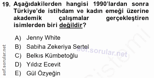 19. soru: Aşağıdakilerden hangisi 1990'lardan sonra Türkiye'de istihdam ve kadın emeği üzerine akademik çalışmalar gerçekleştir…