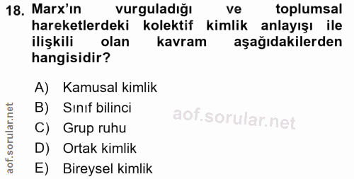 18. soru: Marx'in vurguladığı ve toplumsal hareketlerdeki kolektif kimlik anlayışı ile ilişkili olan kavram aşağıdakilerden han…