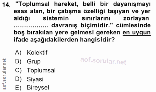 14. soru: "Toplumsal hareket, belli bir dayanışmayı esas alan, bir çatışma özelliği taşıyan ve yer aldiğı sistemin sinirlarını…