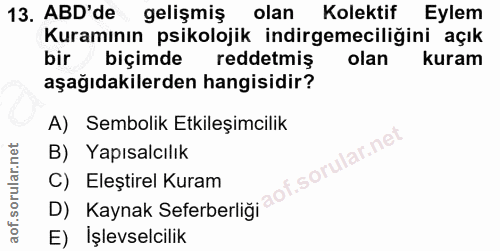 13. soru: ABD'de gelişmiş olan Kolektif Eylem Kuramının psikolojik indirgemeciliğini açık bir biçimde reddetmiş olan kuram aşağ…