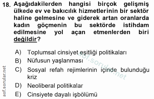 18. soru: Aşağıdakilerden hangisi birçok gelişmiş ülkede ev ve bakıcılık hizmetlerinin bir sektör haline gelmesine ve giderek a…