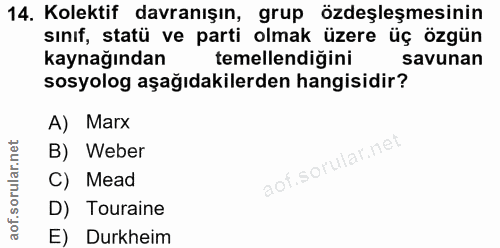 14. soru: Kolektif davranışın, grup özdeşleşmesinin sınıf, statü ve parti olmak üzere üç özgün kaynağından temellendiğini savun…