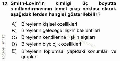12. soru: Smith-Lovin'in kimliği üç boyutta sınıflandırmasının temel çıkış noktası olarak aşağıdakilerden hangisi gösterilebili…