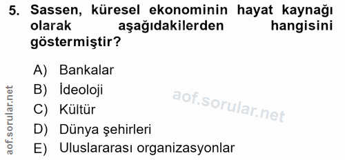 5. soru: Sassen, küresel ekonominin hayat kaynağı olarak aşağıdakilerden hangisini göstermiştir? A) Bankalar B) Ideoloji C) Kü…