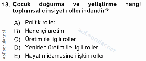 13. soru: Çocuk doğurma ve yetiştirme hangi toplumsal cinsiyet rollerindendir? A) Politik roller B) Hane içi üretim C) Üretim i…