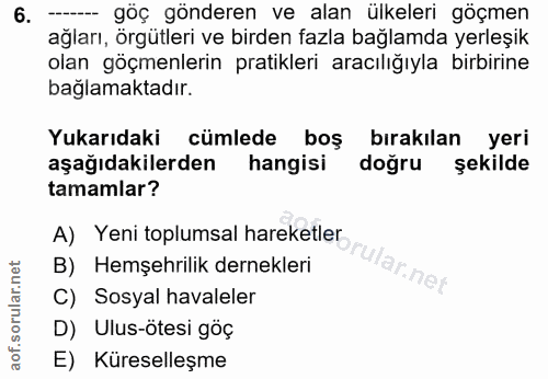 6. soru: ----- göç gönderen ve alan ülkeleri göçmen ağları, örgütleri ve birden fazla bağlamda yerleşik olan göçmenlerin prati…