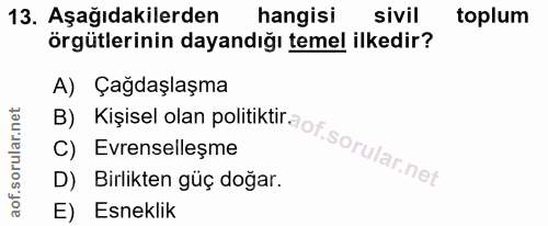 13. soru: Aşağıdakilerden hangisi sivil toplum örgütlerinin dayandığı temel ilkedir? A) Çağdaşlaşma D) Birlikten güç doğar. B)…