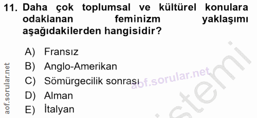 11. soru: Daha çok toplumsal ve kültürel konulara odaklanan feminizm yaklaşımı aşağıdakilerden hangisidir? A) Fransız C) Sömürg…