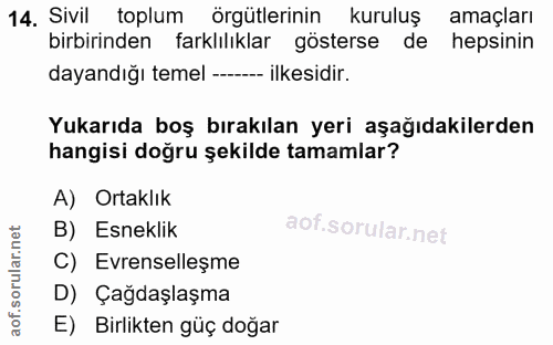 14. soru: Sivil toplum örgütlerinin kuruluş amaçları birbirinden farklılıklar gösterse de hepsinin dayandığı temel ---- ilkesid…