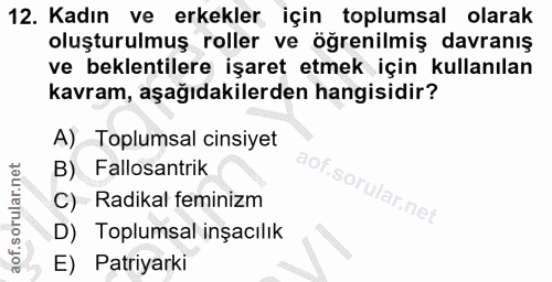 12. soru: Kadın ve erkekler için toplumsal olarak oluşturulmuş roller ve öğrenilmiş davranış ve beklentilere işaret etmek için…