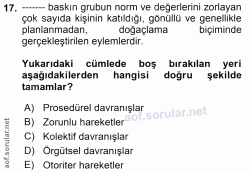 17. soru: -- baskın grubun norm ve değerlerini zorlayan çok sayıda kişinin katıldığı, gönüllü ve genellikle planlanmadan, doğaç…