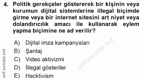4. soru: Politik gerekçeler göstererek bir kişinin veya kurumun dijital sistemlerine illegal biçimde girme veya bir internet s…