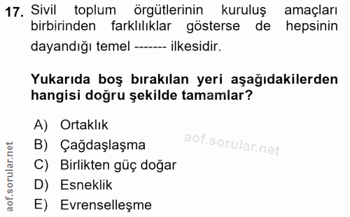 17. soru: Sivil toplum örgütlerinin kuruluş amaçları birbirinden farklılıklar gösterse de hepsinin dayandığı temel --- ilkesidi…