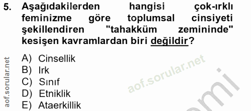 5. soru: Aşağıdakilerden hangisi çok-ırklı feminizme göre toplumsal cinsiyeti şekillendiren "tahakküm zemininde" kesişen kavra…