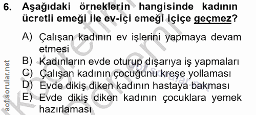 6. soru: Aşağıdaki örneklerin hangisinde kadının ücretli emeği ile ev-içi emeği içiçe geçmez? A) Çalışan kadının ev işlerini y…