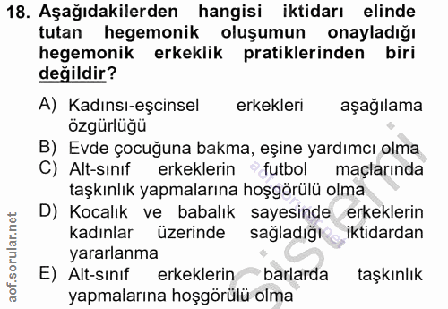 18. soru: Aşağıdakilerden hangisi iktidarı elinde tutan hegemonik oluşumun onayladığı hegemonik erkeklik pratiklerinden biri de…