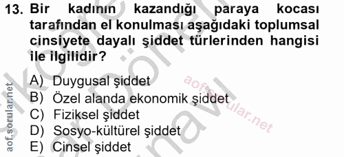 13. soru: Bir kadının kazandığı paraya kocası tarafından el konulması aşağıdaki toplumsal cinsiyete dayalı şiddet türlerinden h…