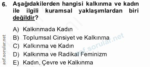 6. soru: Aşağıdakilerden hangisi kalkınma ve kadın ile ilgili kuramsal yaklaşımlardan biri değildir? A) Kalkınmada Kadın B) To…