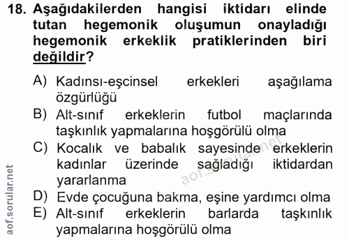 18. soru: Aşağıdakilerden hangisi iktidarı elinde tutan hegemonik oluşumun onayladığı hegemonik erkeklik pratiklerinden biri de…