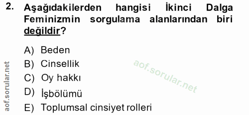 2. soru: Aşağıdakilerden hangisi Ikinci Dalga Feminizmin sorgulama alanlarından biri değildir? A) Beden B) Cinsellik C) Oy hak…