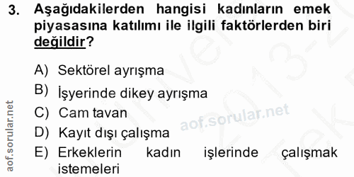 3. soru: Aşağıdakilerden hangisi kadınların emek piyasasına katılımı ile ilgili faktörlerden biri değildir? A) Sektörel ayrışm…