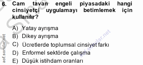 6. soru: Cam tavan engeli piyasadaki hangi cinsiyetçi uygulamayı betimlemek için kullanılır? A) Yatay ayrışma B) Dikey ayrışma…