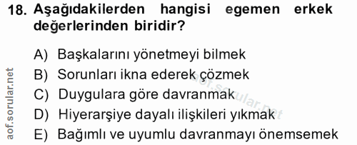 18. soru: Aşağıdakilerden hangisi egemen erkek değerlerinden biridir? A) Başkalarını yönetmeyi bilmek B) Sorunları ikna ederek…