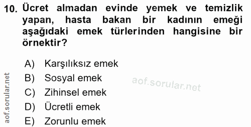 10. soru: Ucret almadan evinde yemek ve temizlik yapan, hasta bakan bir kadının emeği aşağıdaki emek türlerinden hangisine bir…