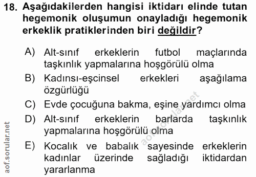 18. soru: Aşağıdakilerden hangisi iktidarı elinde tutan hegemonik oluşumun onayladığı hegemonik erkeklik pratiklerinden biri de…