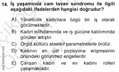 14. soru: İş yaşamında cam tavan sendromu ile ilgili aşağıdaki ifadelerden hangisi doğrudur? A) Yöneticilik kadınlara özgü bir…