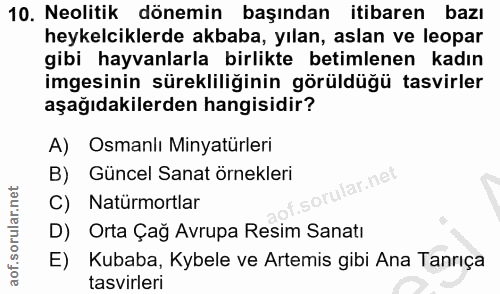 10. soru: Neolitik dönemin başından itibaren bazı heykelciklerde akbaba, yılan, aslan ve leopar gibi hayvanlarla birlikte betim…