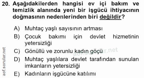 20. soru: Aşağıdakilerden hangisi ev içi bakım ve temizlik alanında yeni bir işgücü ihtiyacının doğmasının nedenlerinden biri d…