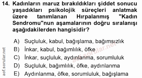 14. soru: Kadınların maruz bırakıldıkları şiddet sonucu yaşadıkları psikolojik süreçleri anlatmak üzere tanımlanan Hirpalanmış…