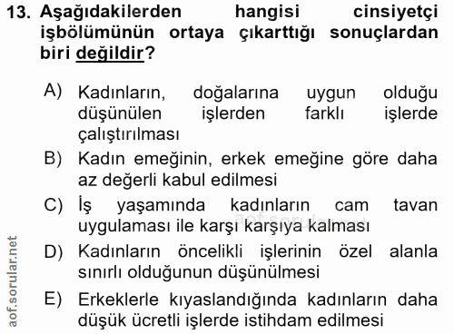 13. soru: Aşağıdakilerden hangisi cinsiyetçi işbölümünün ortaya çıkarttığı sonuçlardan biri değildir? A) Kadınların, doğalarına…