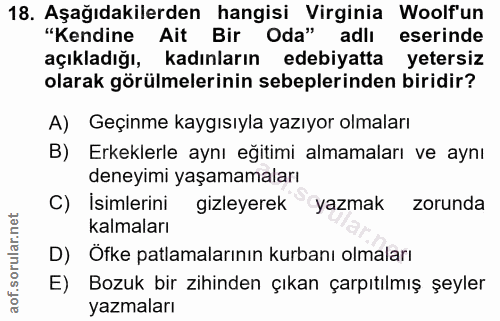 18. soru: Aşağıdakilerden hangisi Virginia Woolf'un "Kendine Ait Bir Oda" adlı eserinde açıkladığı, kadınların edebiyatta yeter…
