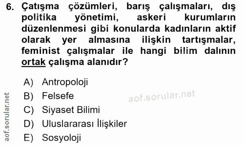 6. soru: Çatışma çözümleri, barış çalışmaları, dış politika yönetimi, askeri kurumların düzenlenmesi gibi konularda kadınların…