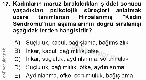 17. soru: Kadınların maruz bırakıldıkları şiddet sonucu yaşadıkları psikolojik süreçleri anlatmak üzere tanimlanan Hirpalanmış…