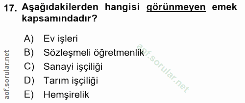 17. soru: Aşağıdakilerden hangisi görünmeyen emek kapsamındadır? A) Ev işleri B) C) Sanayi işçiliği D) Tarım işçiliği E) Hemşir…