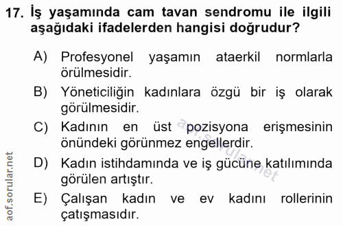 17. soru: Iş yaşamında cam tavan sendromu ile ilgili aşağıdaki ifadelerden hangisi doğrudur? A) Profesyonel yaşamın ataerkil no…