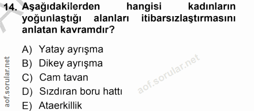 14. soru: Aşağıdakilerden hangisi kadınların yoğunlaştığı alanları itibarsızlaştırmasını anlatan kavramdır? A) Yatay ayrışma B)…