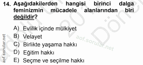 14. soru: Aşağıdakilerden hangisi birinci dalga feminizmin mücadele alanlarından biri değildir? A) Evlilik içinde mülkiyet B) V…