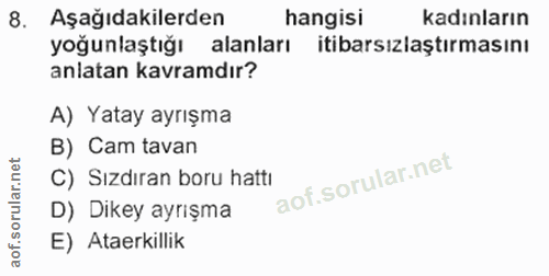 8. soru: Aşağıdakilerden hangisi kadınların yoğunlaştığı alanları itibarsızlaştırmasını anlatan kavramdır? A) Yatay ayrışma B)…