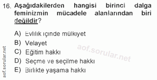 16. soru: Aşağıdakilerden hangisi birinci dalga feminizmin mücadele alaniarından biri değildir? A) Evlılık ıçınde mülkıyet B) V…