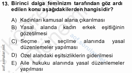 13. soru: Birinci dalga feminizm tarafından göz ardı edilen konu aşağıdakilerden hangisidir? A) Kadınları kamusal alana çıkarıl…