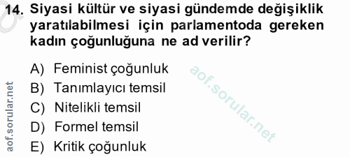 14. soru: Siyasi kültür ve siyasi gündemde değişiklik yaratılabilmesi için parlamentoda gereken kadın çoğunluğuna ne ad verilir…
