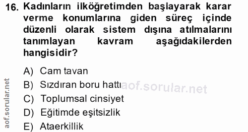 16. soru: Kadınların ilköğretimden başlayarak karar verme konumlarına giden süreç içinde düzenli olarak sistem dışına atılmalar…