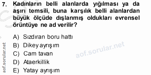 7. soru: Kadınların belli alanlarda yığılması ya da aşırı temsili, buna karşılık belli alanlardan büyük ölçüde dışlanmış olduk…