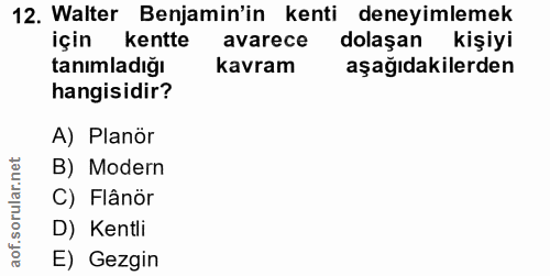 12. soru: Walter Benjamin'in kenti deneyimlemek için kentte avarece dolaşan kişiyi tanımladığı kavram aşağıdakilerden hangisidi…