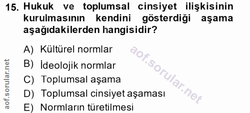 15. soru: Hukuk ve toplumsal cinsiyet ilişkisinin kurulmasının kendini gösterdiği aşama aşağıdakilerden hangisidir? A) Kültürel…